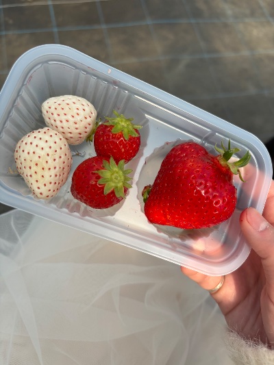 中洲　キャバクラ　キャバ嬢日記