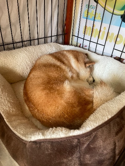 クラブ アネックス なぎさ 🐴🎍1