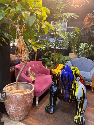 クラブ アネックス さゆり 観葉植物1