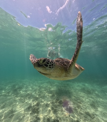 クラブ レオ あいり 🐢🤿1