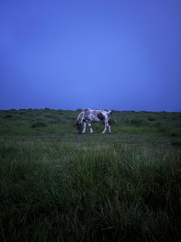 クラブ レオ あいり 🐎1