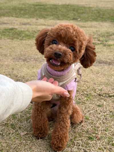 中洲　キャバクラ　キャバ嬢日記