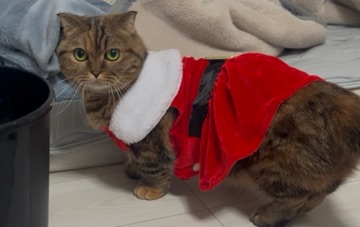 クラブ エスケープ あすか サイズぜったいにちがいますね🐱1