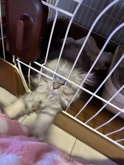 クラブ エスケープ あすか 😂😂😂1