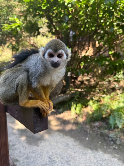 クラブ エスケープ えま 癒し(* ´ ` *)ᐝ1