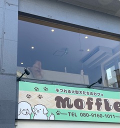 クラブ エスケープ ふうか お気に入り1