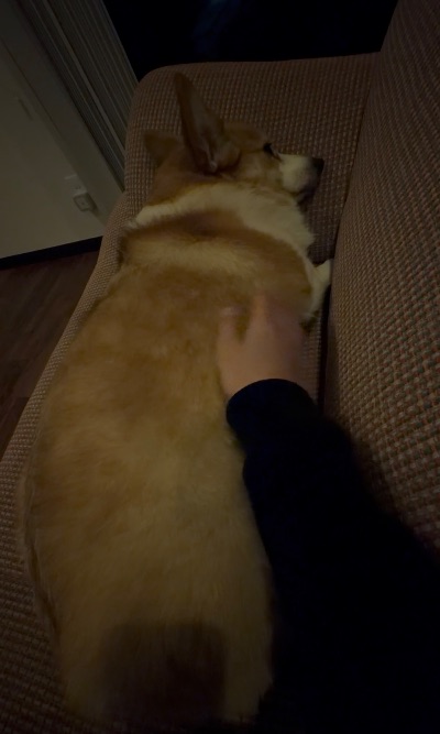 中洲 キャバクラ キャバ嬢日記