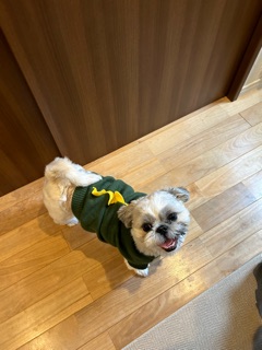 クラブ エスケープ はな ハニくん♡1