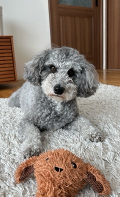 クラブ エスケープ はな 愛犬ちゃん1