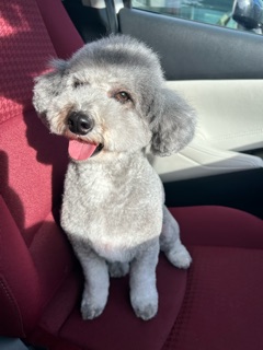 クラブ エスケープ はな くまさんカット✂️1