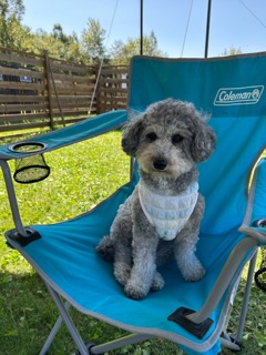 クラブ エスケープ はな 🐶📸1