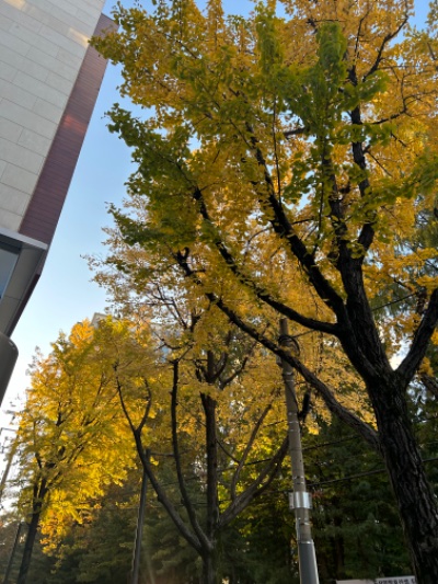 クラブ エスケープ はな 🌳♡1