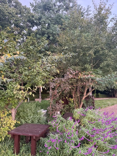 クラブ エスケープ はる 大濠公園1