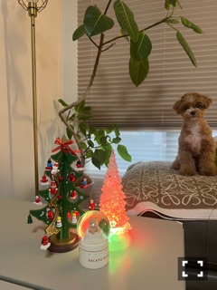 クラブ エスケープ くるみ 飾り付け🎄1