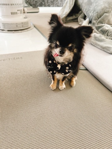 クラブ エスケープ まりあ クック1