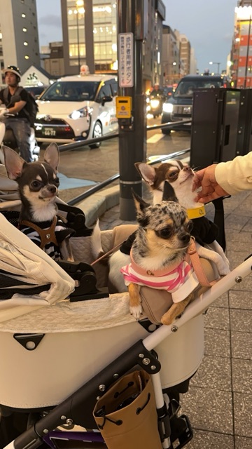 クラブ エスケープ まりあ 天使1