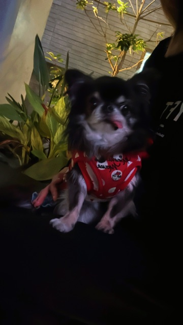 クラブ エスケープ まりあ じむ1