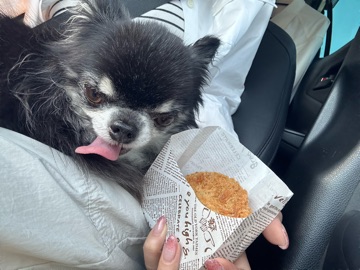 クラブ エスケープ まりあ コロッケ1