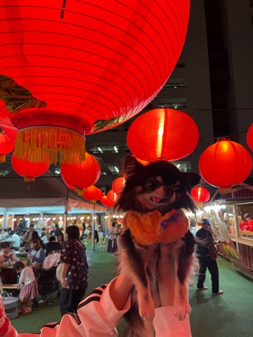 クラブ エスケープ まりあ 台湾1