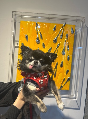 クラブ エスケープ まりあ カフェ1