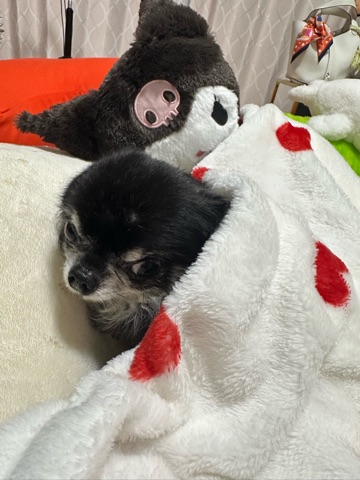 クラブ エスケープ まりあ かぜ1