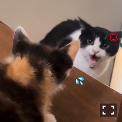 クラブ レオ にいな にゃんにゃんにゃん1