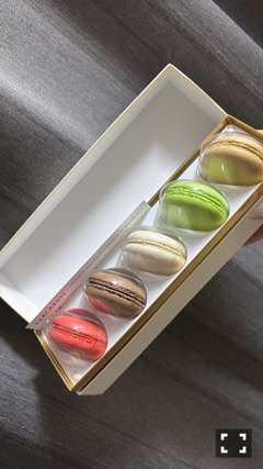 クラブ レオ にいな マカロン🎶1