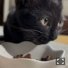 クラブ レオ にいな (՞- -՞)ᐝ1