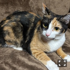 クラブ レオ にいな 寝ても寝ても眠たい😴1