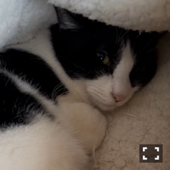 クラブ レオ にいな 寒い1