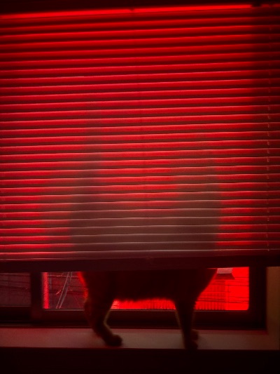 中洲　キャバクラ　キャバ嬢日記