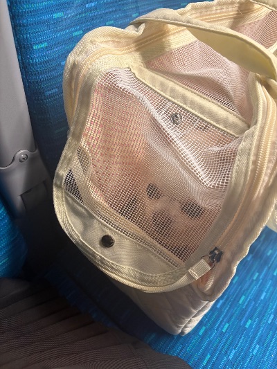 クラブ エスケープ レイ 相棒🐶1