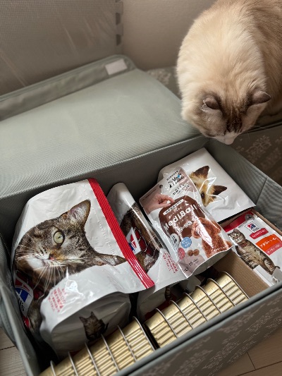 中洲　キャバクラ　キャバ嬢日記