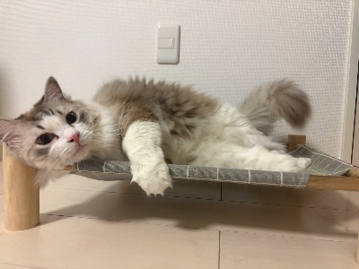 中洲　キャバクラ　キャバ嬢日記