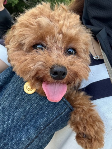 クラブ エスケープ 玲奈 9月START🍁1