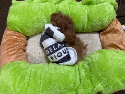 クラブ エスケープ 玲奈 出勤しました🫡1