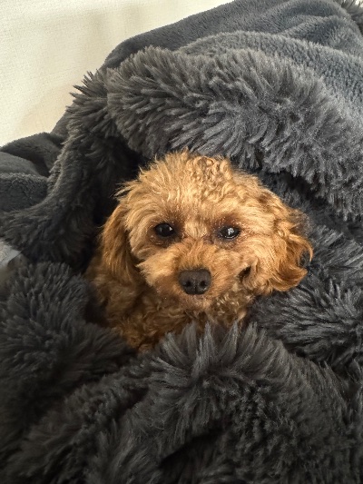 クラブ エスケープ 玲奈 12月スタート⛄️1