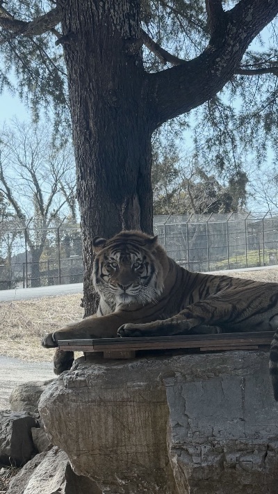 クラブ エスケープ りり 初サファリパーク🚙1