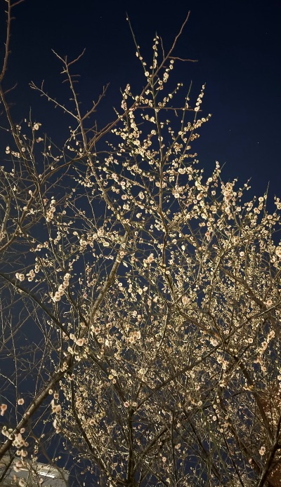 クラブ エスケープ トキ もうすぐ春だなあ〜1