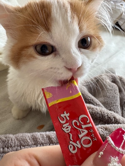 クラブ エスケープ わかな 今日の愛猫1