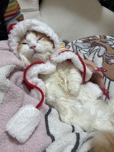 クラブ エスケープ わかな メリークリスマス🎄1