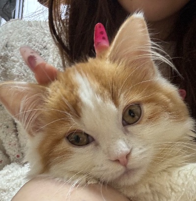 クラブ エスケープ わかな ツノ1