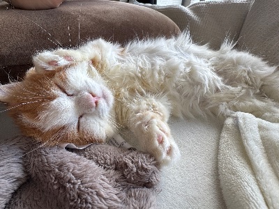 クラブ エスケープ わかな 寒すぎる、、1