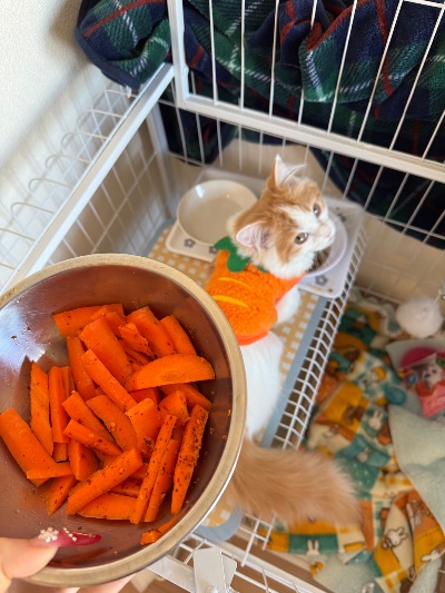 クラブ エスケープ わかな 今日の私のご飯😅🥕1