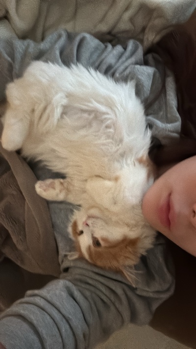 クラブ エスケープ わかな 🐱1