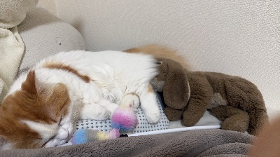 中洲 キャバクラ キャバ嬢日記