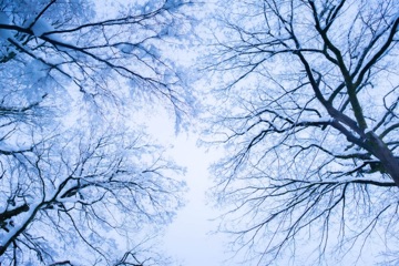 クラブ レオ 美桜 早く寝たら早く起きれたしキツくない睡眠って大事1