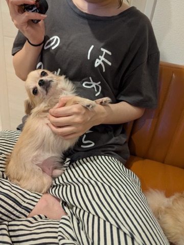 クラブ ロエ ゆうき 18ゆうき1