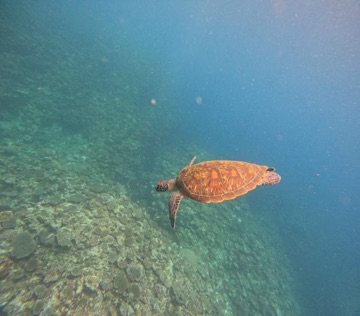 クラブ ロエ ゆうき 3ゆうき1