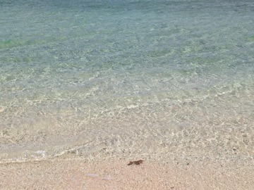 クラブ ロエ ゆうき 21ゆうき1